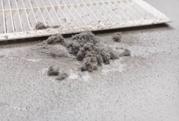 Best Affordable HVAC Duct Cleaning  in Yelm, WA