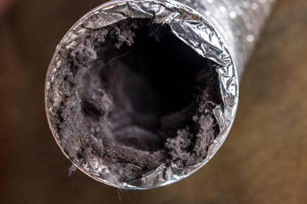 Professional Airduct Cleaning in Yelm, WA