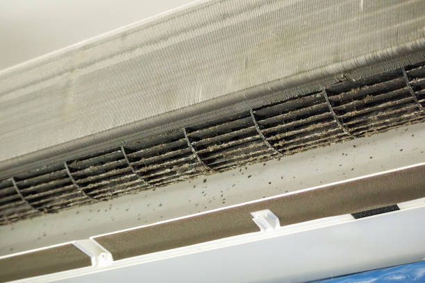 Best Ventilation Cleaning Services  in Yelm, WA